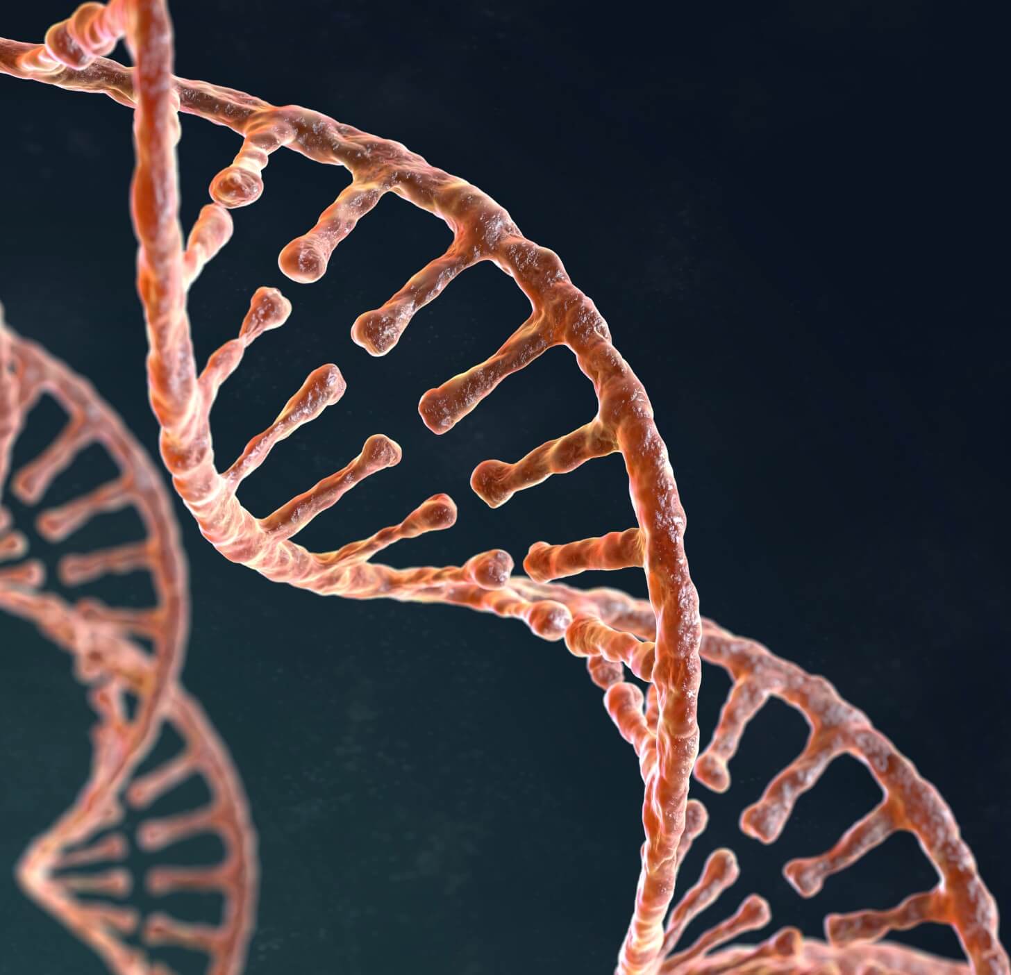 spiral-strand-of-dna-on-the-dark-background-2024-12-04-18-31-02-utc (1)